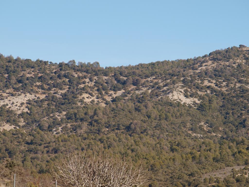 Alojamiento Turistico "El Torreon" Pension Fresneda de la Sierra Buitenkant foto